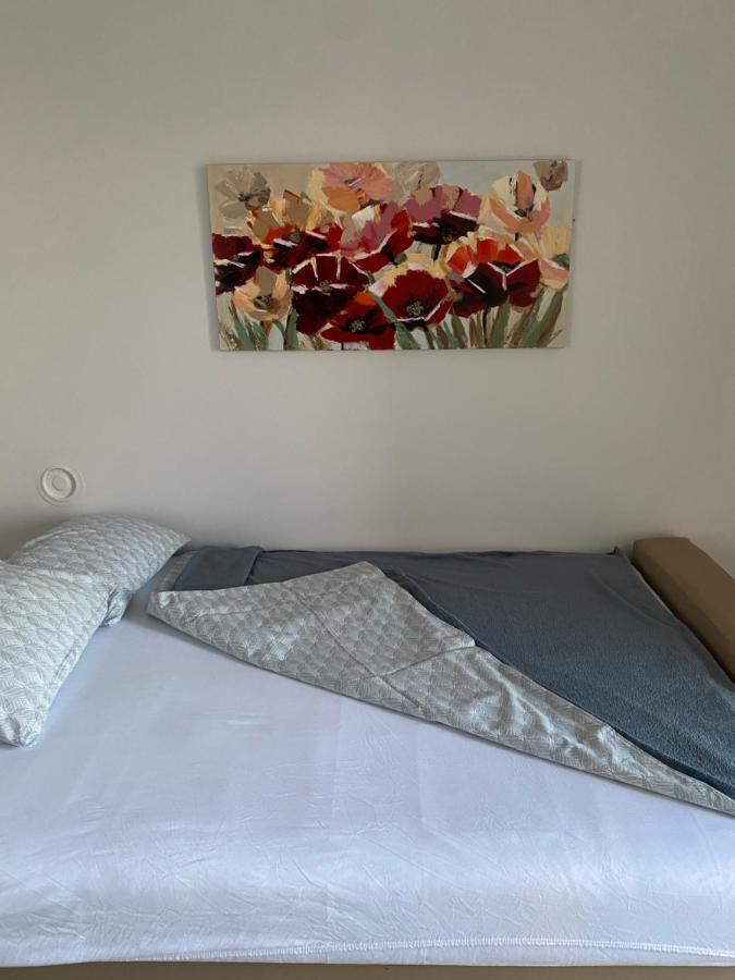 Apartman Colapis- Self Check In, Free Parking, Premium Location! Karlovac Exterior foto